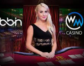 娱乐星空下载app电脑免费版